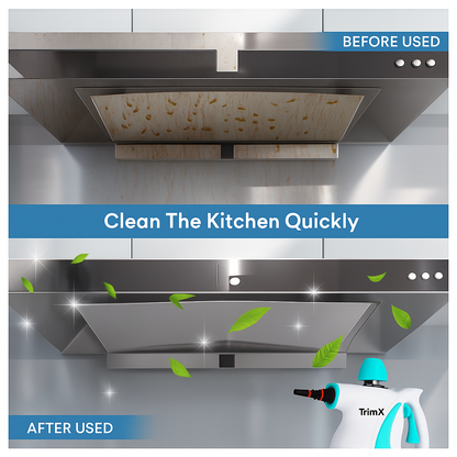 Portable Handheld Steam Cleaner Multifunctional Kitchen Range Hood Grease Remover Cleaning Machine Bathroom Cleaner for Car